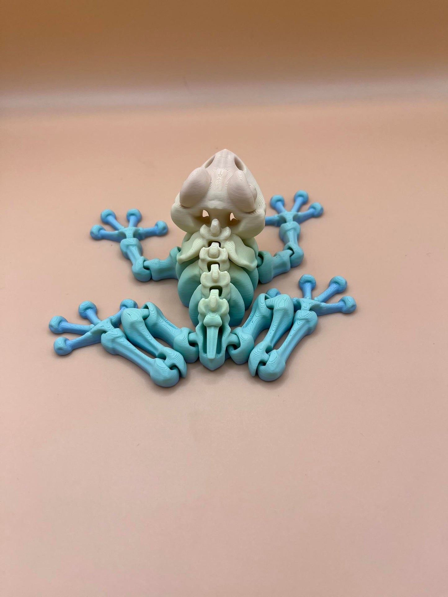 Flexi Factory frog skeleton