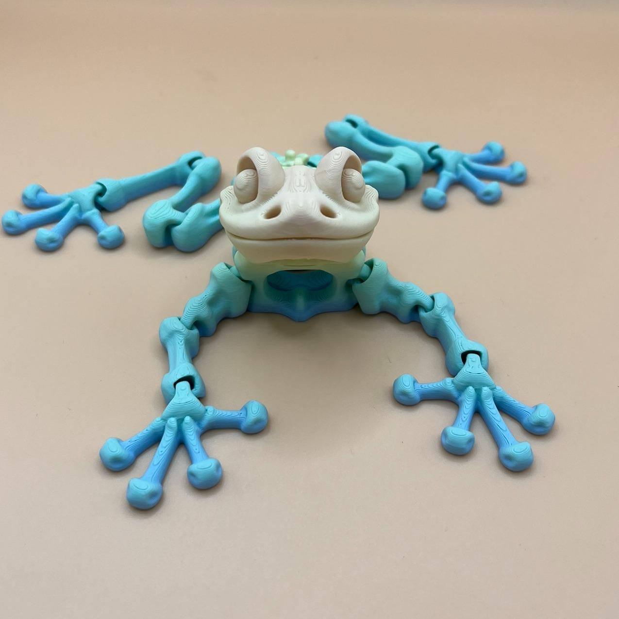 Flexi Factory frog skeleton