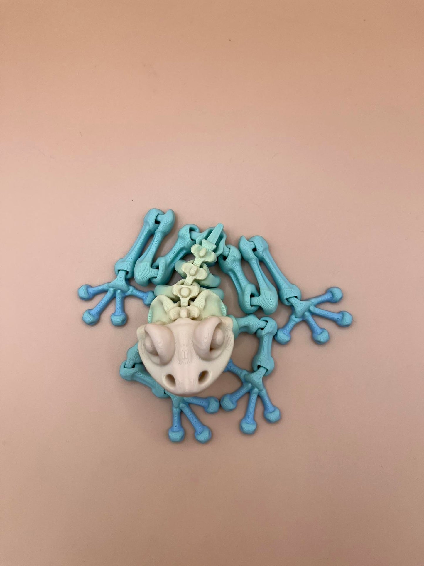 Flexi Factory frog skeleton