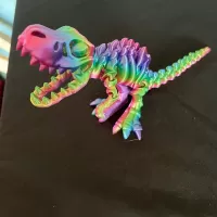 Flexi Factory TRex Dinosaur skeleton